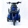  Forte CARGO-P650 